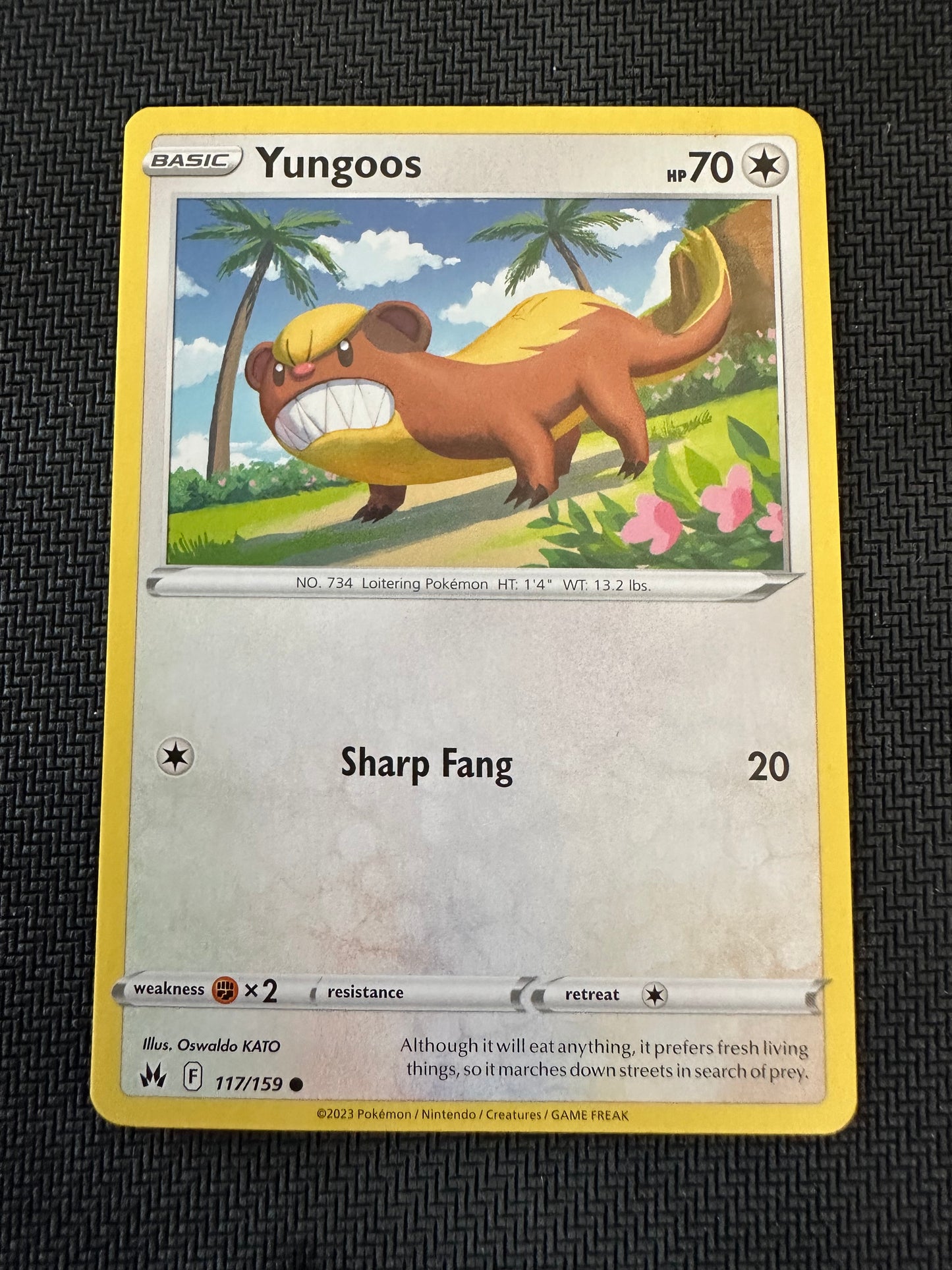 #117 Yungoos Crown Zenith Sun & Moon Pokemon